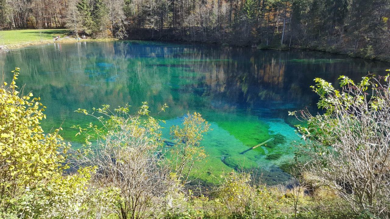 Ferienwohnung Am Eichwald Immenstadt im Allgau Bagian luar foto